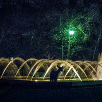 ss_la_drive-by-shooting-nite-deer