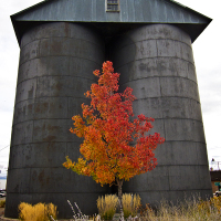 ss_roadtrip_on_hwy_395