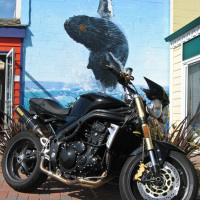 ss_whalebiker_morrobay