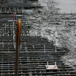 ss_constr_main_street_wet-cement