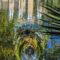 Steph_Sydney_New_Orleans_reflect_art