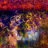 Stephanie_Sydney_Beach_Aerial_Abstract