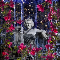 Stephanie_Sydney_MARILYN