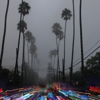 Stephanie_Sydney_palms_pier-lights