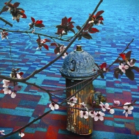 blossoms-ariels fireplug-collage