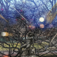 ss_Winter_Tree_Lights