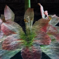 ss_digital-collages_reflect_in_time