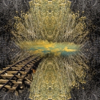 ss_joshuatree_-kaleidoscope