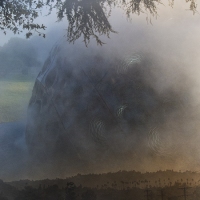 ssydney_pasadena_mist-meteor