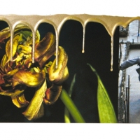 ss_mixed-media_change-1_30x15