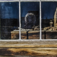 ss_self-portr_lost-in-bodie