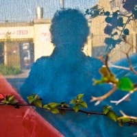 ss_self-portrait_reflecting_on_bouganvilla