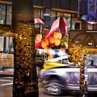 ss_beverly-hills_in_reflections