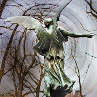 ss_Boston-angel